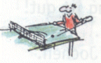 image6.gif